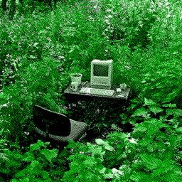 A computer on a desk, surrounded by greenery in what seems to be a forest.