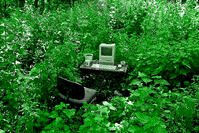 A computer on a desk, surrounded by greenery in what seems to be a forest.